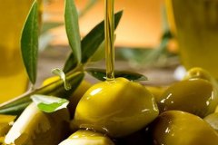 橄榄油是不是转基因?