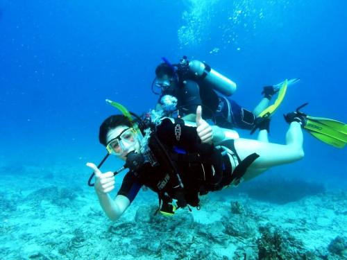 浮潜与水肺潜水的差异