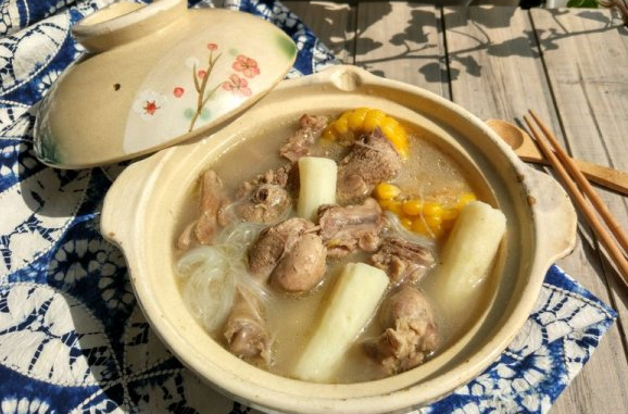 春季养生如何炖鸭汤