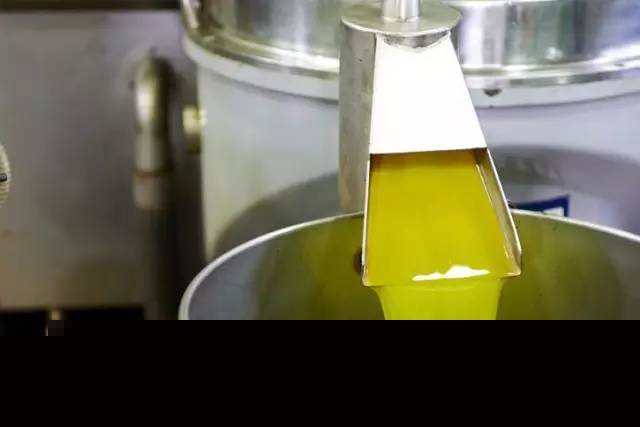 橄榄油什么色？