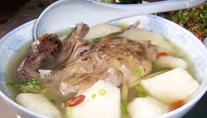 秋季养生不可少的一碗神仙汤——山药乳鸽汤