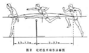 跨栏跑体育运动的一些知识