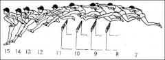 跨栏跑体育运动小知识