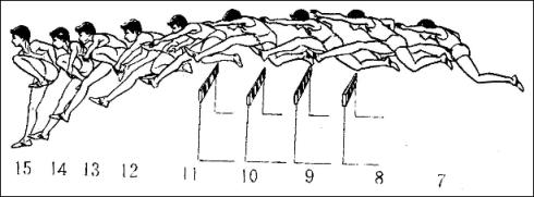 跨栏跑体育运动小知识