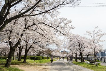 春暖花开时 谨防五官病