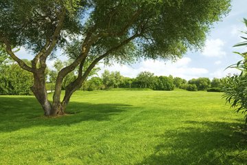 盛夏时节 谨防空调病