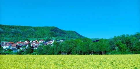 早春寒气峭 谨防春温扰